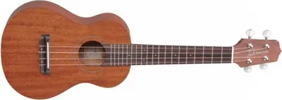 Image de Takamine GU-S1