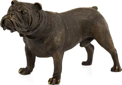 Immagine prodotto di SL-95 SCULTURA IN BRONZO DI UN CANE INGLESE 5,4 x 13