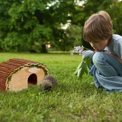 Produktbild von Relaxdays Igelhaus, Holz & Moos, Igelhotel mit Boden, Winterquartier für Igel, Garten, HxBxT: 18 x 34 x 17 cm, natur