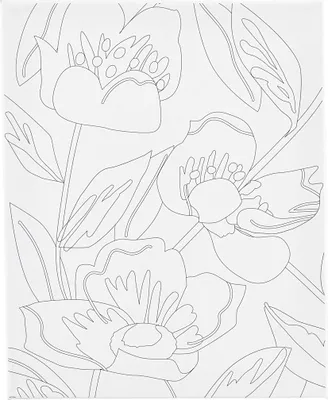 Produktbild von Creativ Company CC Schilderleinwand mit Druck Klaproos 24x30 cm