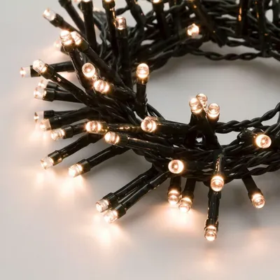 Imagen del producto de Guirnalda de luces LED "Lotti Catena 300", clásica, de 12,5 metros para uso exterior, con temporizador, 300 luces LED, color verde, funciona con pilas AA