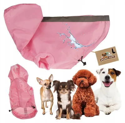 Produktbild von Wesoły Pupil Wasserdichte Hunderegenjacke für kleine Hunde L