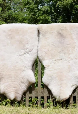 Produktbild von Lammfell Creme Beige gescheckt 100-110 cm -
