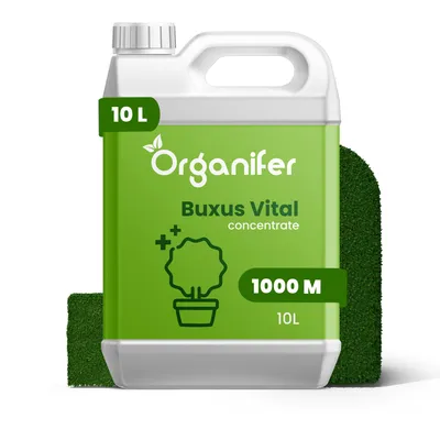 Zdjęcie produktu dla Buxus Vital 10 l – Koncentrat na 1000 metrów żywopłotu z bukszpanu - Organifer