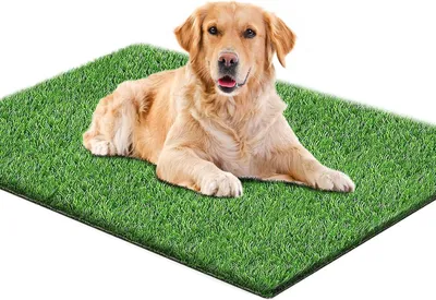 Productafbeelding van Hondentoilet 80x100 cm, kunstgras, afvoersysteem, voor binnen