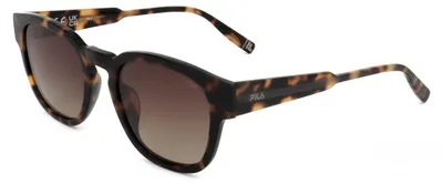 Produktbild von Fila Sonnenbrille SFI310V C10P 51 21 140