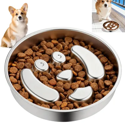 Produktbild von 22 cm Katze hund futternapf, 304 edelstahl, dickwandig, slow eat, leicht zu reinigen, stabil
