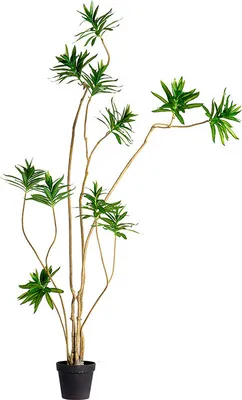 Produktbild von 360Home Lilie Bambus Topfpflanze indoor große Kunstpflanze grüne Pflanze künstliche Pflanze grün 2.2m