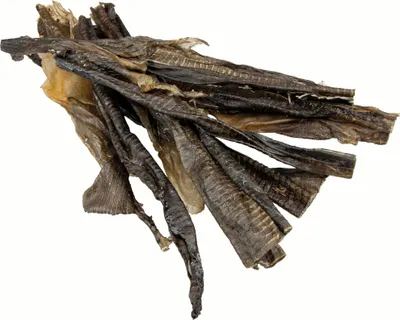 Produktbild von 200g Schecker Welshaut - Länge ca. 50cm - besonders zähe Hautstreifen vom Zuchtwels
