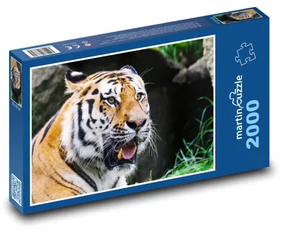 Obrázok produktu pre Puzzle 2000 Tiger v divočine - martinpuzzle