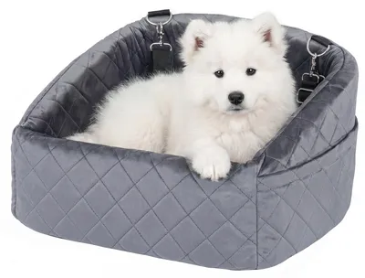 Immagine prodotto di Seggiolino auto per cani KOMFOTTEU, con 2 cinture di sicurezza, fodera rimovibile e lavabile, cestino per cani fino a 15,9 kg, cuccia per cani, borsa per cani, adatta per auto e SUV (grigio)