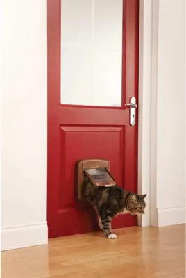 Immagine prodotto di PetSafe Gattaiola magnetica a 4 vie Deluxe 420 Marrone