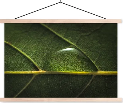 Produktbild von MuchoWow® Textilposter Foto eines Wassertropfens auf einem botanischen Blatt 120x80 cm mit holzfarbenen Rahmen - Aufhängeset