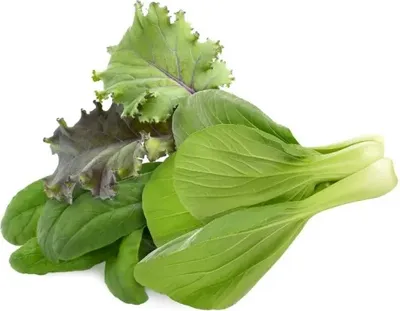 Produktbild von Click & Grow Click & Grow Plant Pod Asia Cuisine Mix 9pcs