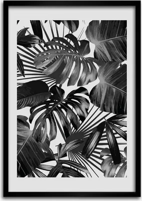 Produktbild von Bild - Bilderrahmen - Foto - 70 cm x 100 cm - MDF - Rahmen - Wandkunst - Tropische Blätter