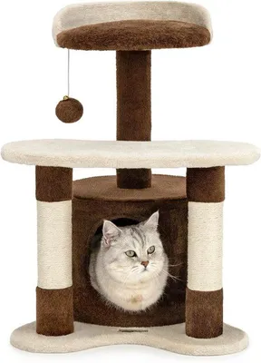 Immagine prodotto di Albero tiragraffi di medie dimensioni, robusto, alto 65 cm, marrone-beige, per gatti