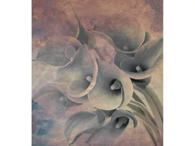 Produktbild von Fototapete - Flower Abstract I 225x250cm - Vliestapete