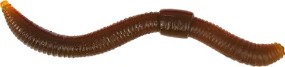 Produktbild von Trout Master Dendrobaena 80 - 15 Gummiwürmer, Farbe:Natural