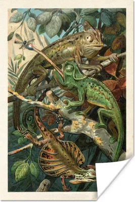 Produktbild von MuchoWow® Poster Vintage - Reptilien - Pflanzen 40x60 cm - Plakate für die Wand - Poster Babyzimmer