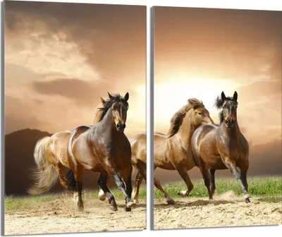 Obrázok produktu pre Kryt varnej dosky 2 kusy 30x52 Sklenený keramický kryt varnej dosky, Horses Beige