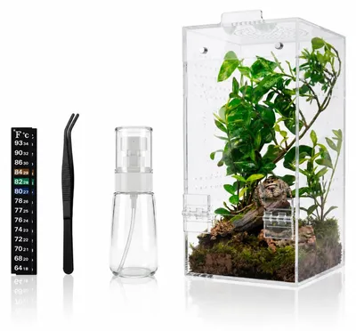 Image de Terrarium en acrylique Solidchoice, idéal pour les sauterelles et les escargots, dimensions : 10x10x20 cm