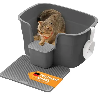 Produktbild von Katzenklo mit hohen Seitenwänden PPT003G02, 64 × 44 × 33 cm, grau
