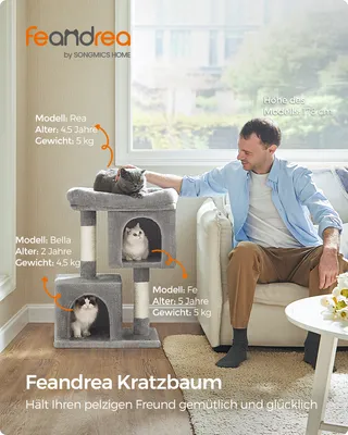 A man is sitting on a couch next to a cat tree with two cats on it.