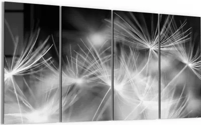 Produktbild von DEQORI Glasbild Echtglas 4x30x60 cm 'Pusteblumenflug' Wandbilder XXL groß