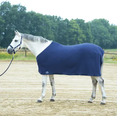 Produktbild von BUSSE Abschwitzdecke BASIC II in drei Farben, Farbe:Navy, Rückenlänge in cm:95