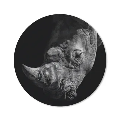Produktbild von MuchoWow® Mauspad Mousepad Nashorn - Wildtier - Porträt 40x40 cm - Mousepads - Maus Mat - Pad - Mausunterlage - Schreibtisch Accessoires