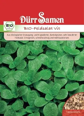 Produktbild von Feldsalat Vit | Feldsalatsamen von Dürr Samen