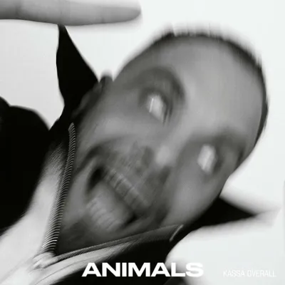 Image de Animaux