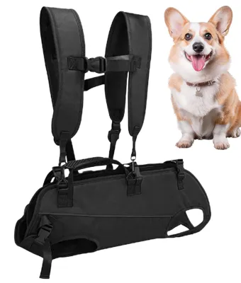 Produktbild von Vielseitiges Hundebekleidungsset für Spaziergänge mit Haustieren