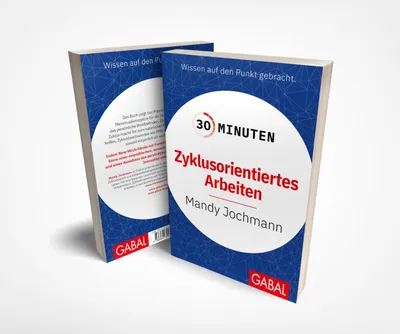 Obrázek produktu pro 30 Minuten Zyklusorientiertes Arbeiten