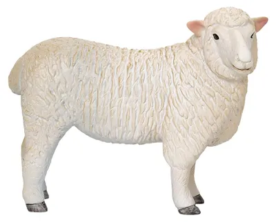 Image de Besttoy - Romney Schaf - Spielfigur