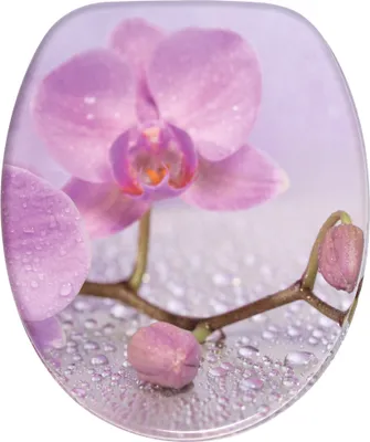 Produktbild von SANILO® WC-Sitz Blooming, Toilettendeckel direkt vom Hersteller, Klodeckel, Klobrille, WC Deckel, Toilettensitz, Toilettenbrille, WC Brille
