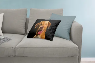 Produktbild von MuchoWow® Zierkissen Sofakissen Wohnzimmer Dekokissen 60x40 cm Hund - Haustiere - Porträt - Kopfkissen - Polster mit Foto