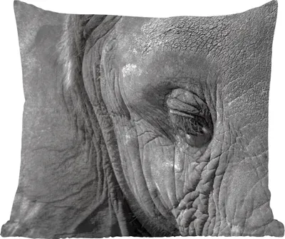 Produktbild von MuchoWow® Zierkissen Sofakissen Wohnzimmer Dekokissen 45x45 cm Elefant - Tiere - Nahaufnahme - Schwarz und weiß - Schlafpolster - Polster für das Sofa