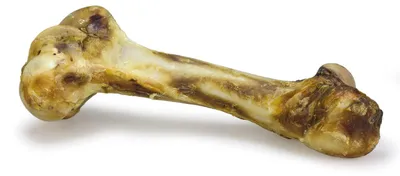 Immagine prodotto di ARQUIVET Osso di manzo extra grande "Mamut" per cani, naturale