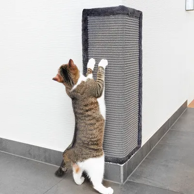A cat is scratching a corner scratching post attached to a wall.
