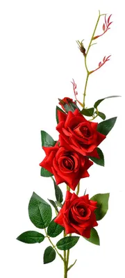 Obrázek produktu pro Clayre & Eef Umělé květiny Rose 83 cm Červený plast