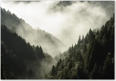 Produktbild von Tulup® Glas-Bild - 100 x 70 - Wandbild aus Glas - Wandkunst - Wandbild hinter gehärtetem Sicherheitsglas - Landschaften - Nebel über dem Wald - Schwarzweiß