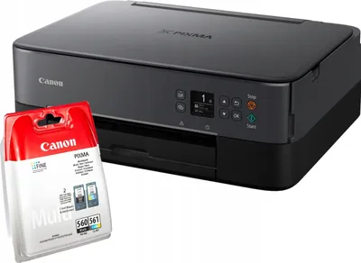 A Canon Pixma printer and a package of ink cartridges are shown against a white background.