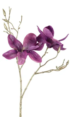 Imagen del producto de Countryfield: Flor artificial de magnolia, decoración en rosa dorado, 84 cm