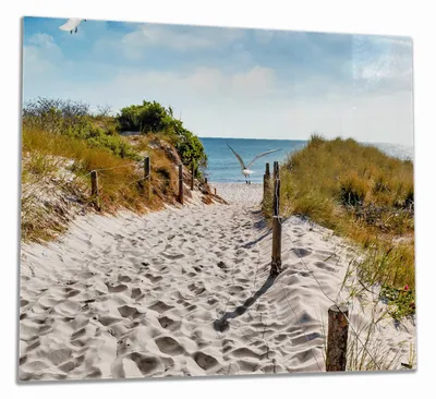 Produktbild von Wallario Herdabdeckplatte aus Glas, Größe 60 x 52 cm 1-teilig, Motiv Möwen auf dem Weg zum Strand