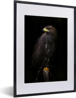 Produktbild von MuchoWow® MuchoWow® Gerahmtes Poster Adler - Tier - Braun 30x40 cm - Poster mit zchwarzem Bilderrahmen - Wandposter Schlafzimmer