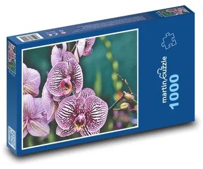 Obrázek produktu pro martinpuzzle - Puzzle 1000 - Růževé květy orchideje