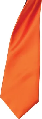 Image de Cravate Homme Premier en satin à clipser (2 pièces/paquet) RW6940 (taille unique) (Terracotta)