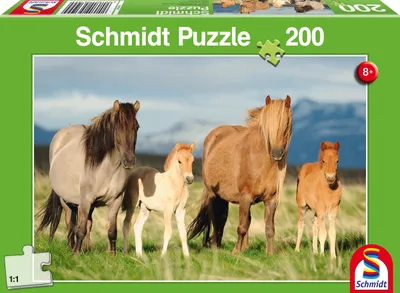 Image de Schmidt Spiele 56199 Puzzle Famille de chevaux - 200 pièces