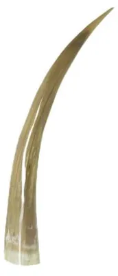 Imagen del producto de Cuerno de Mars & More, 55 cm